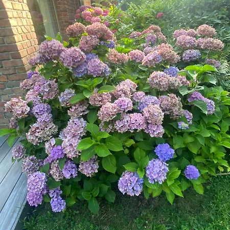 Entre Parentheses - Lille & Villeneuve D'ascq Bed and breakfast Gruson